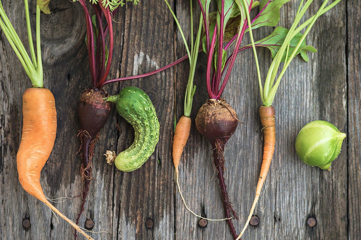 Gemüse mit Schönheitsfehlern – krumme Außenseiter erobern den Teller